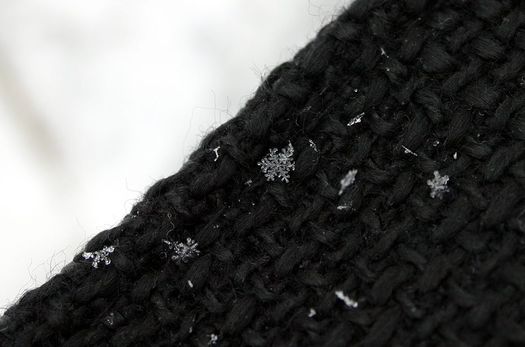 Holly Green first snowflake